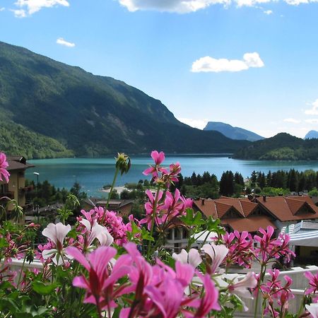 Albergo Stella Alpina Мольвено Экстерьер фото