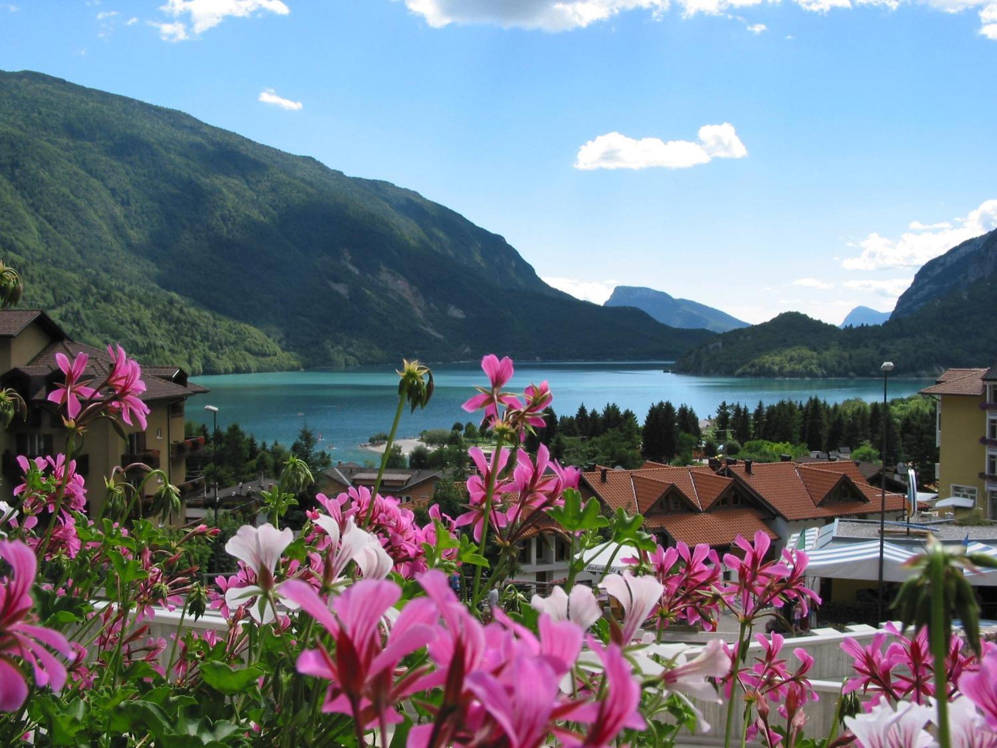 Albergo Stella Alpina Мольвено Экстерьер фото