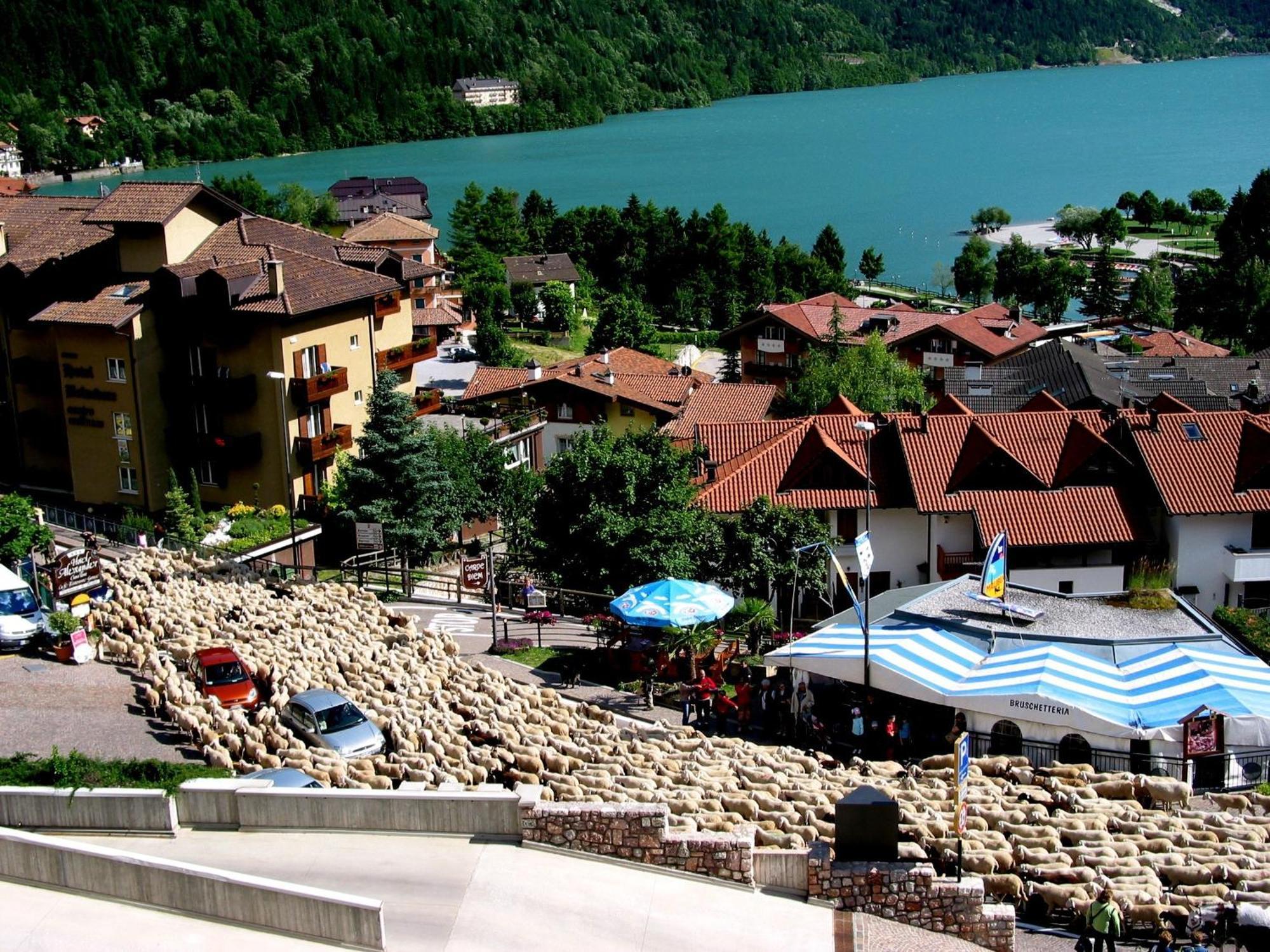 Albergo Stella Alpina Мольвено Экстерьер фото
